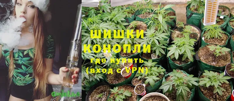 купить наркотик  Бакал  МАРИХУАНА OG Kush 